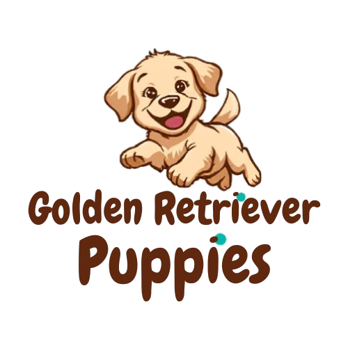 Golden Retriever Puppies